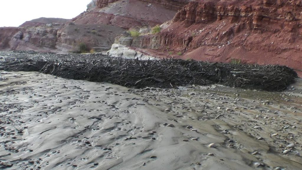 Flash Flood Causes Frightening Debris Flow in Utah Desert MDMH Provo