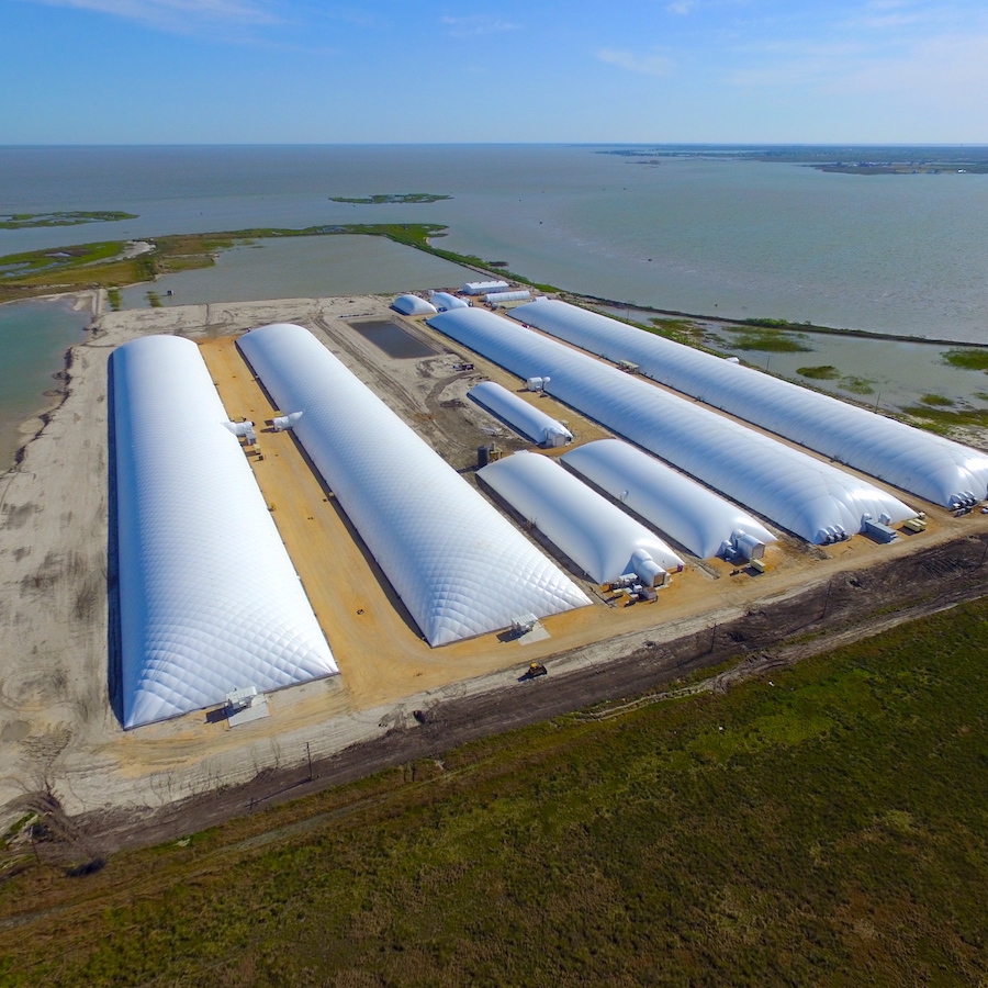 South Texas Shrimp Farm MDM, Inc.