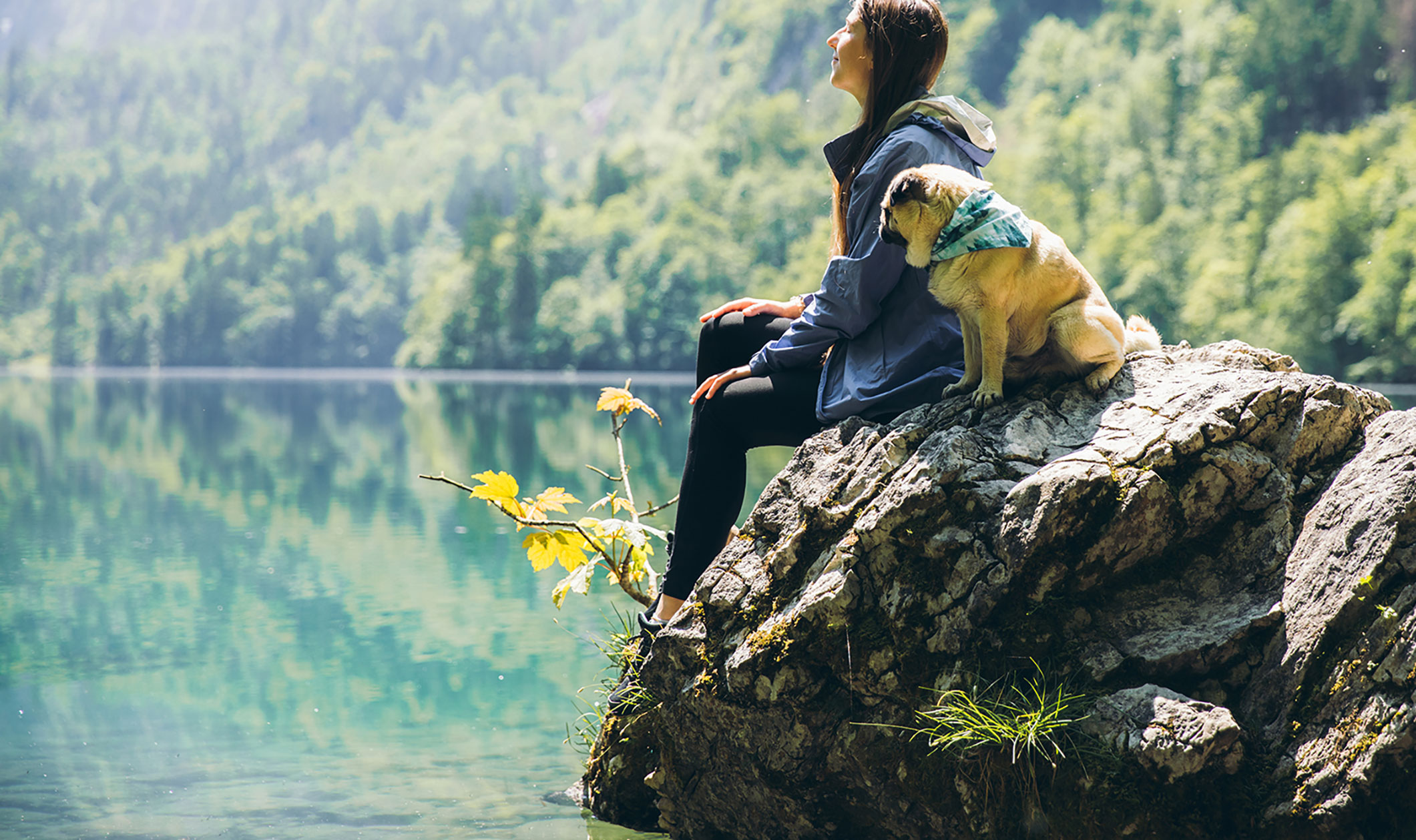 About Us Potomac Animal Wellness Services