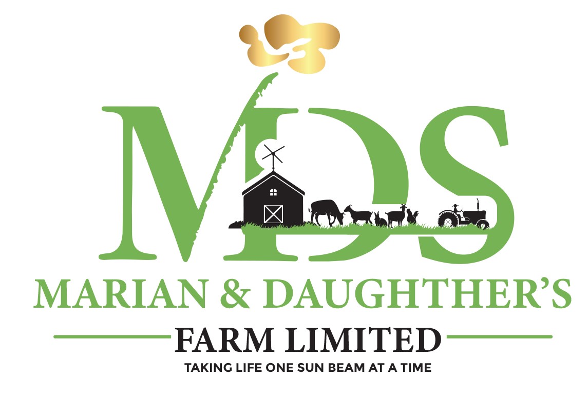 MDS Farms Limited Results and Success