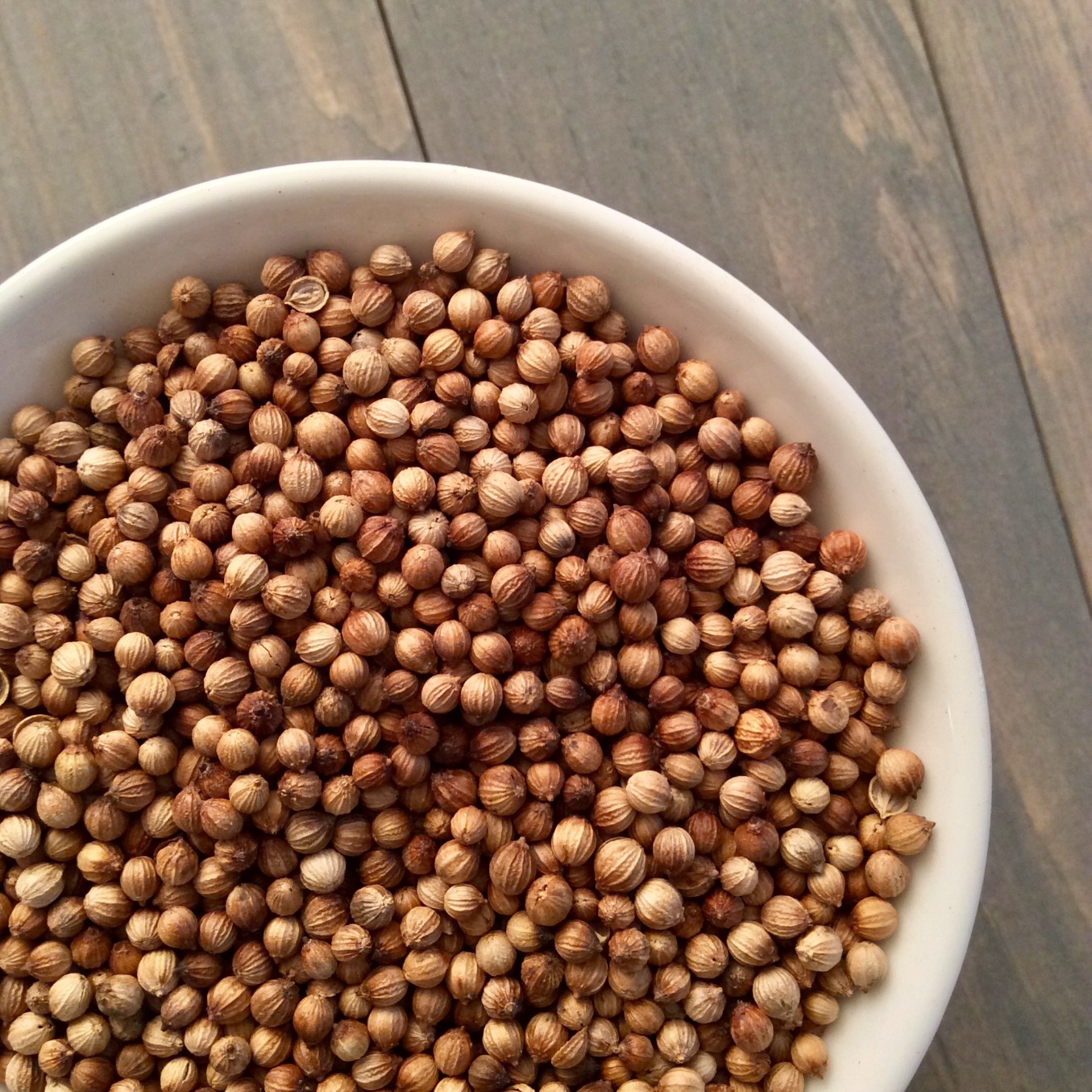 Coriander seed (whole) Meadowbourne Seasonings
