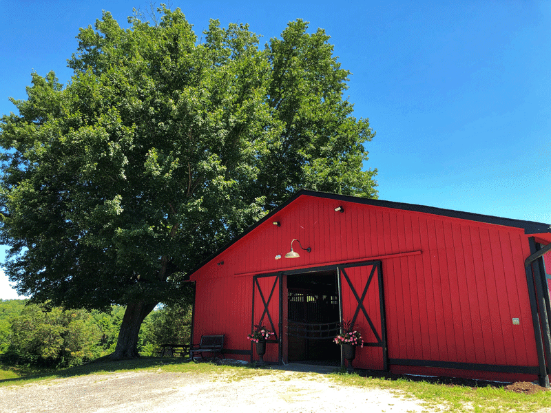 Image Gallery Meadowbrook Farm Marlborough, CT