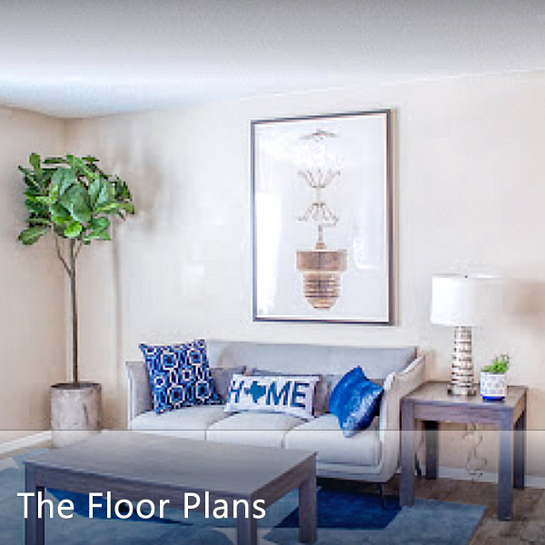 Meadowbrook at Jacksonville Apartments in Jacksonville, AR.