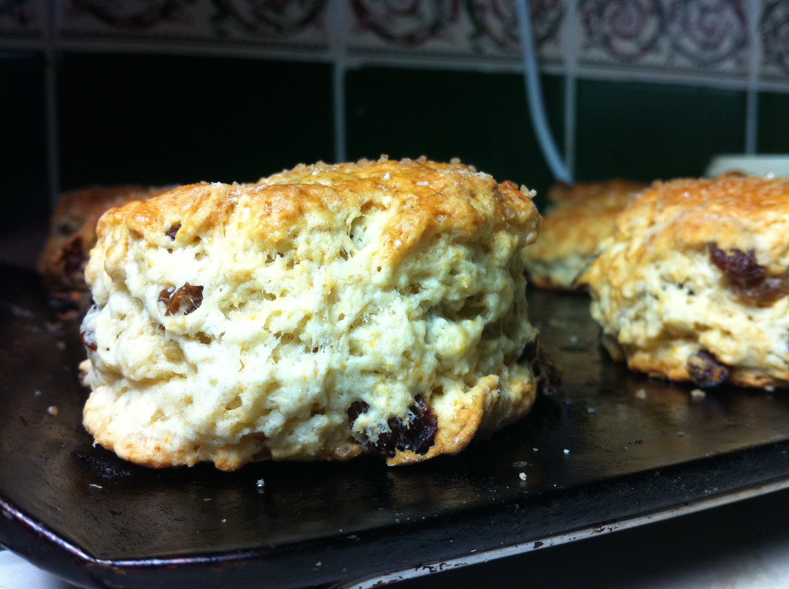 Egg free fruit scone recipe Meadow Brown Bakery