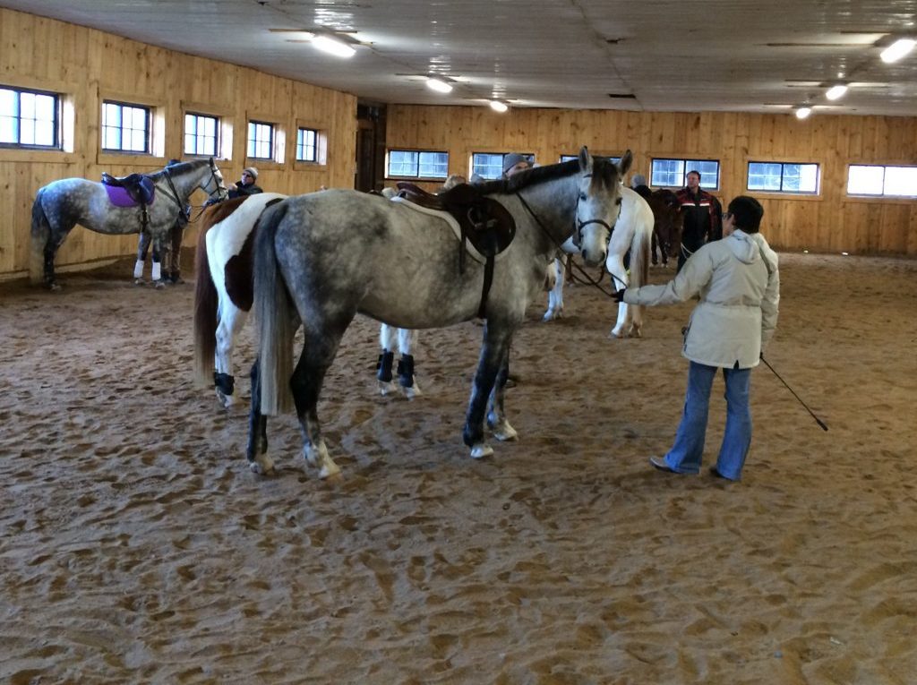 MEADOWLARKE STABLES Horseback Riding Lessons Meadowlarke Stables