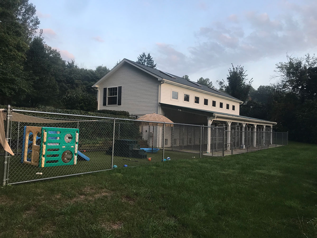 Facilities at Meadow Run Dog Boarding Facility and Training