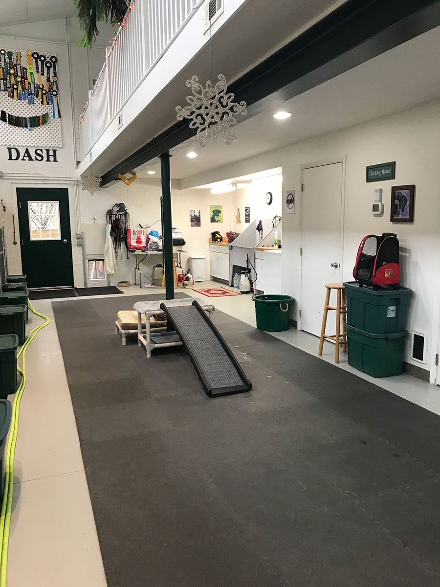 Facilities at Meadow Run Dog Boarding Facility and Training