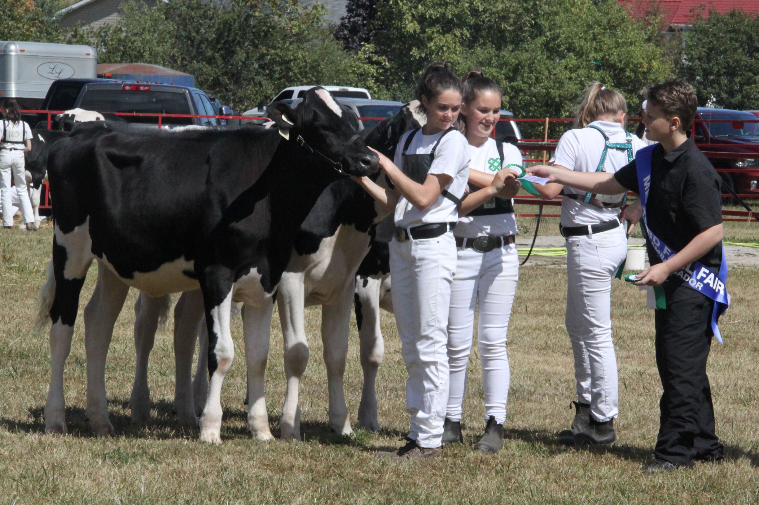 Meaford & St. Vincent Agricultural Society