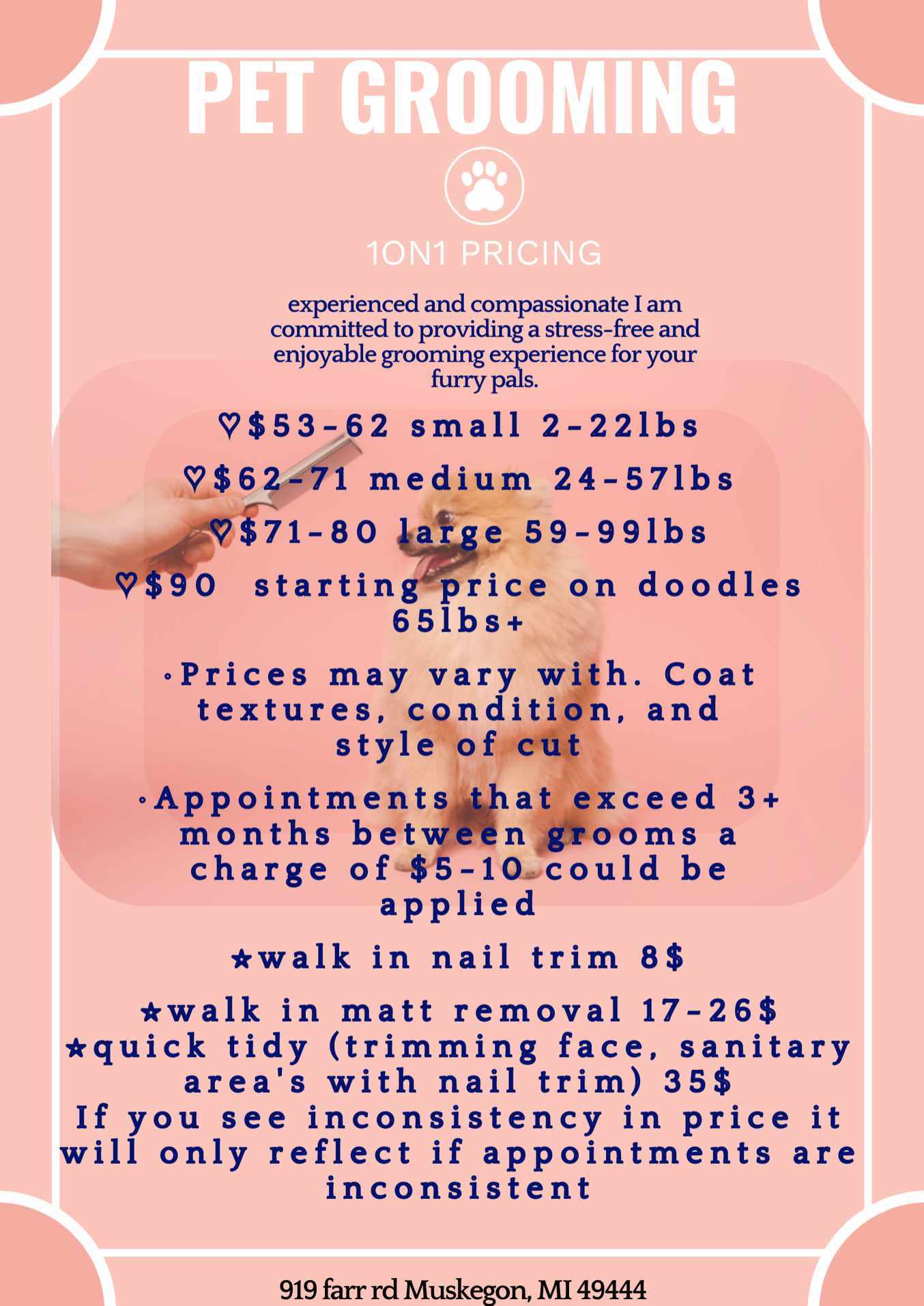 Meagan's 1on1 Grooming Dog Grooming Norton Shores, MI