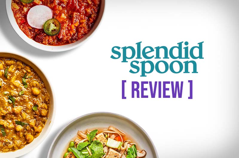 Splendid Spoon Review 2024 All You Need To Know