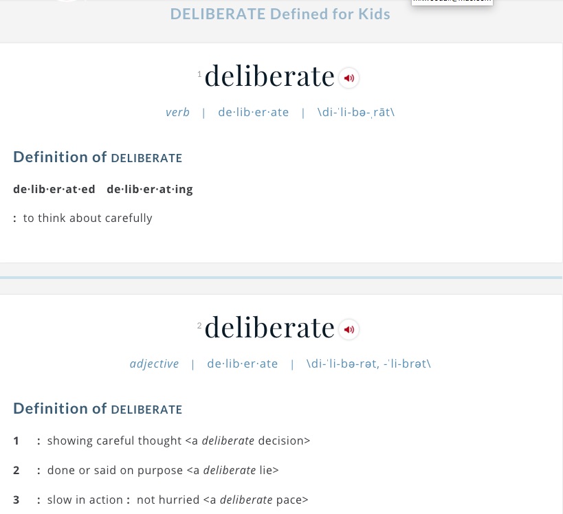 One Word 2016 Deliberate Meandering Maya