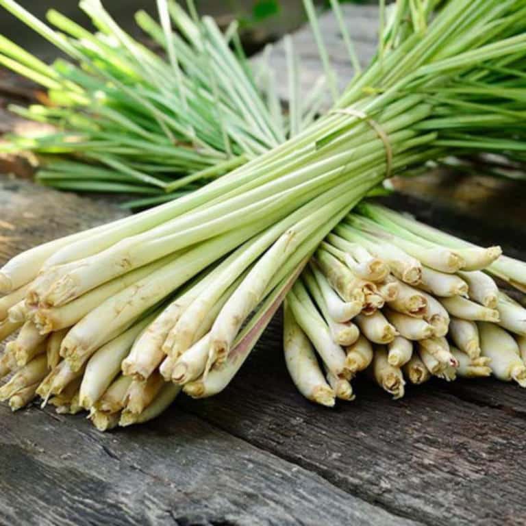 Lemongrass so many health benefits and also so tasty