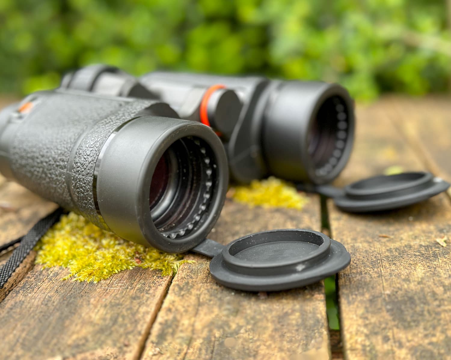 A Comprehensive Guide To Choosing The Best Binoculars For Nature