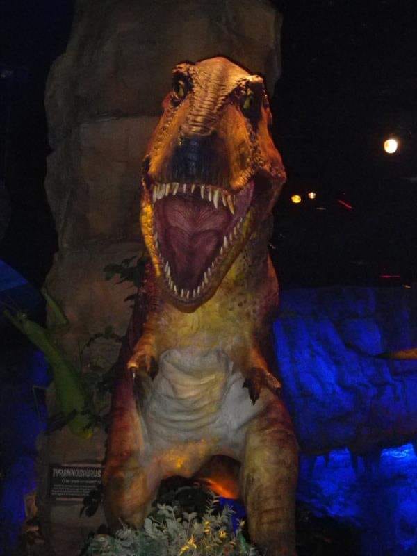 Life Hack Landry’s Card to the (Dining) Rescue! Me and the Mouse Travel