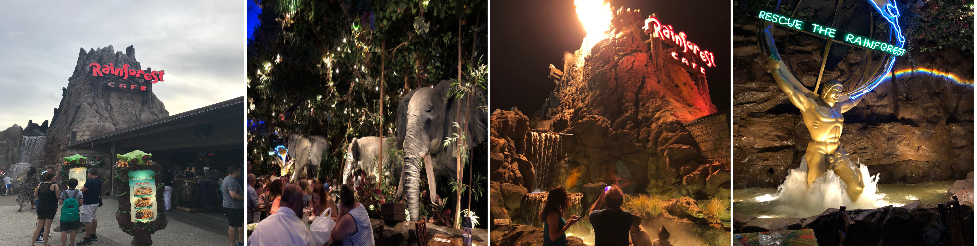 Tropical Dining Adventures at Rainforest Cafe {Review} Me and the
