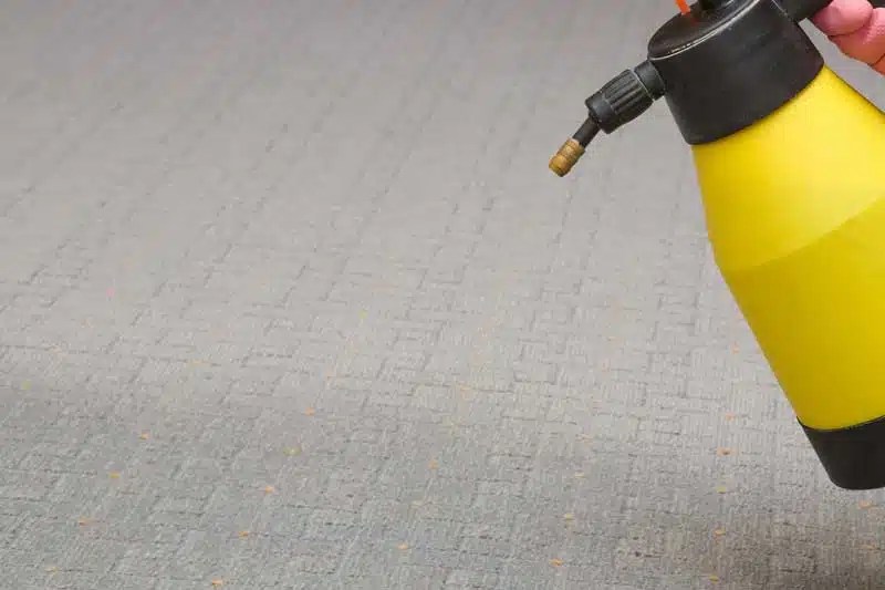 Carpet & Fabric Protection Turlock CA Mean Green Carpet Cleaners