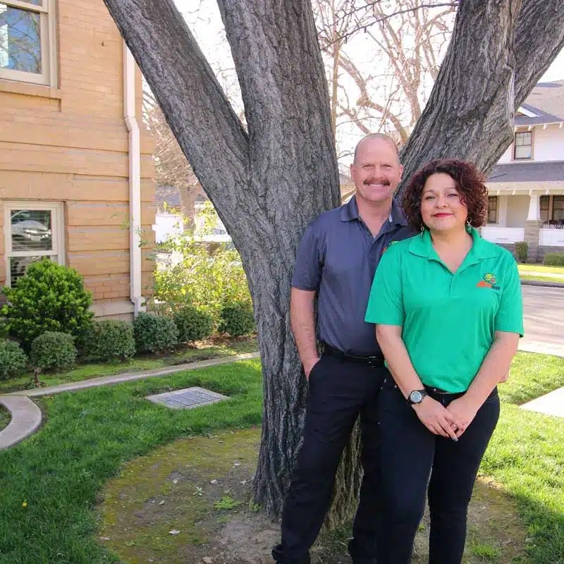 About Us Mean Green Carpet Cleaners