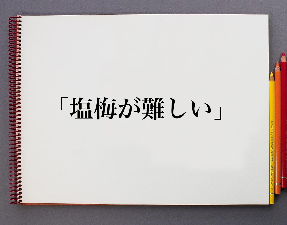 「塩梅が難しい」とは？意味や使い方、例文など分かりやすく解釈 意味解説辞典