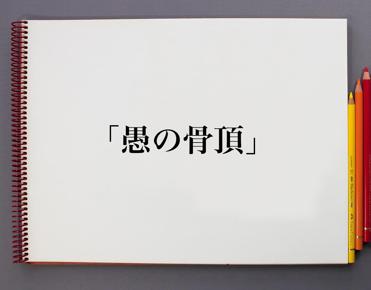 「愚の骨頂」とは？意味や使い方、例文など分かりやすく解釈 意味解説辞典