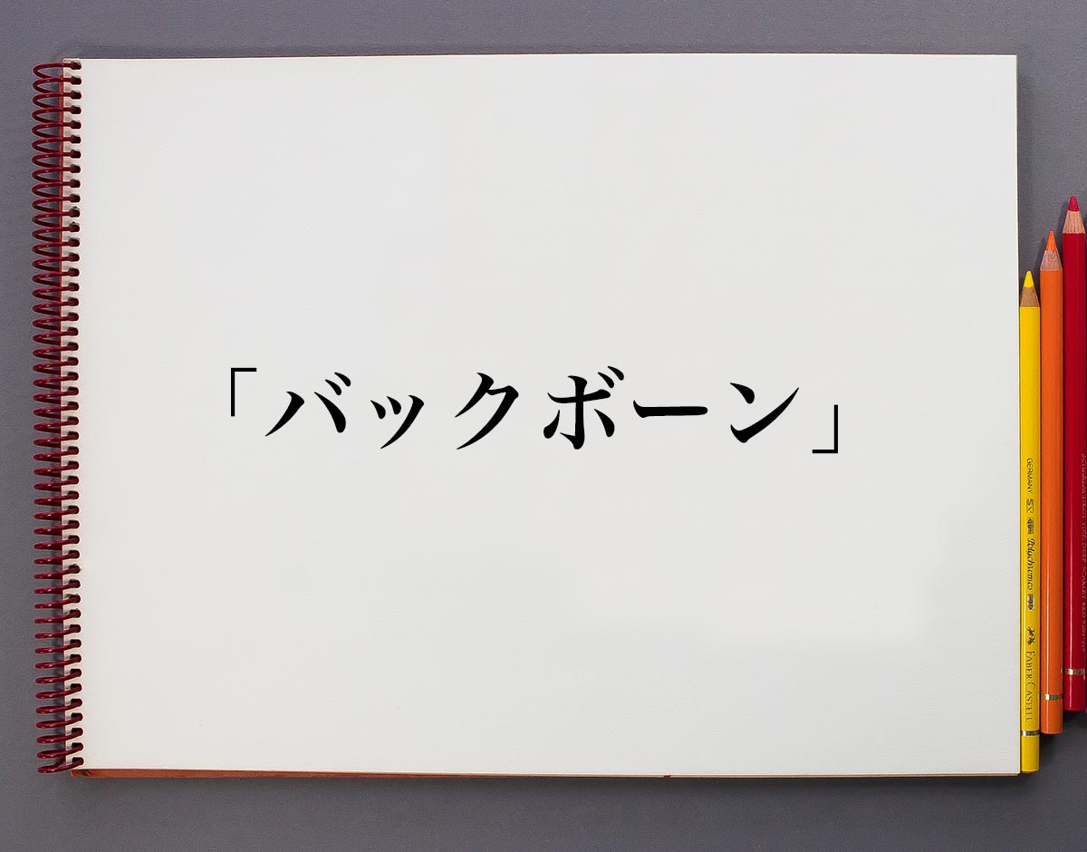 「バックボーン」とは？意味や使い方、例文など分かりやすく解釈 意味解説辞典