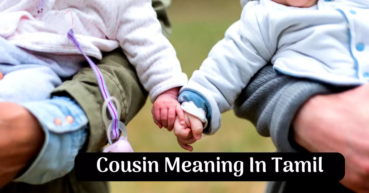 Cousin Meaning • தந்தை அல்லது தாயின் உடன்பிறந்தார்.!