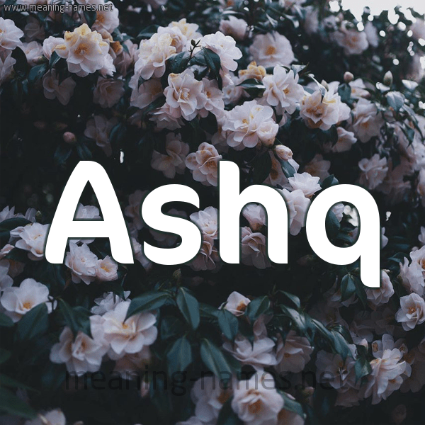 اكتب اسمك عالصورة 11 Ashq كتابة الأسامي