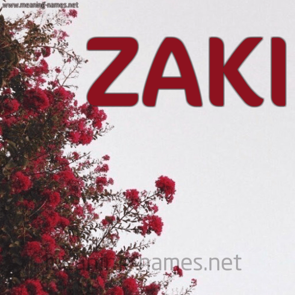 اكتب اسمك عالصورة 18 ZAKI كتابة الأسامي