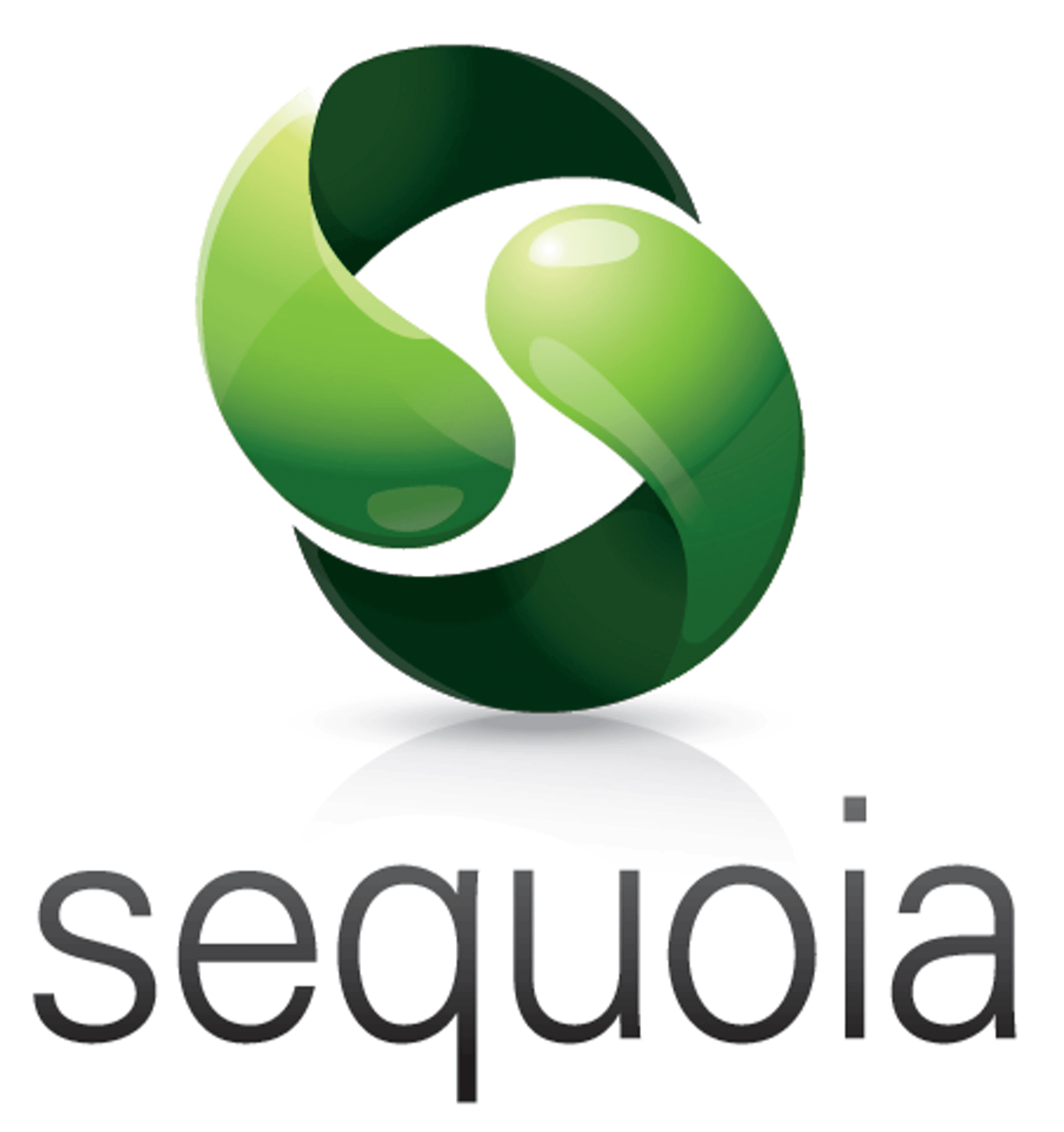 Agency Sector Management celebrates 35 years of providing customs software solutions for