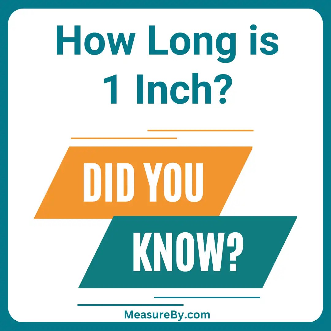 How Long Is 1 Inch? (with 10 Examples)