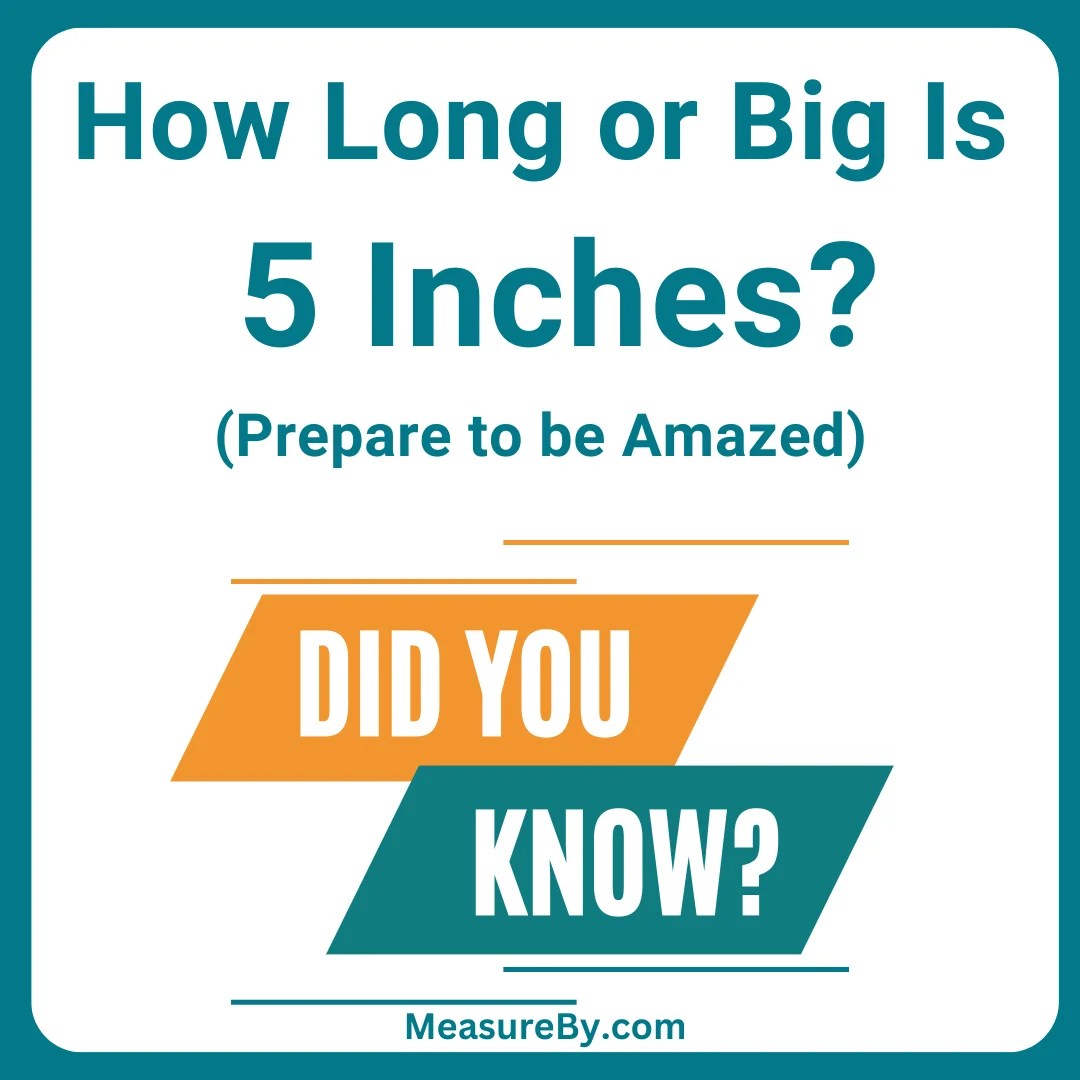 How Long or Big Is 5 Inches? [with 6 Examples]