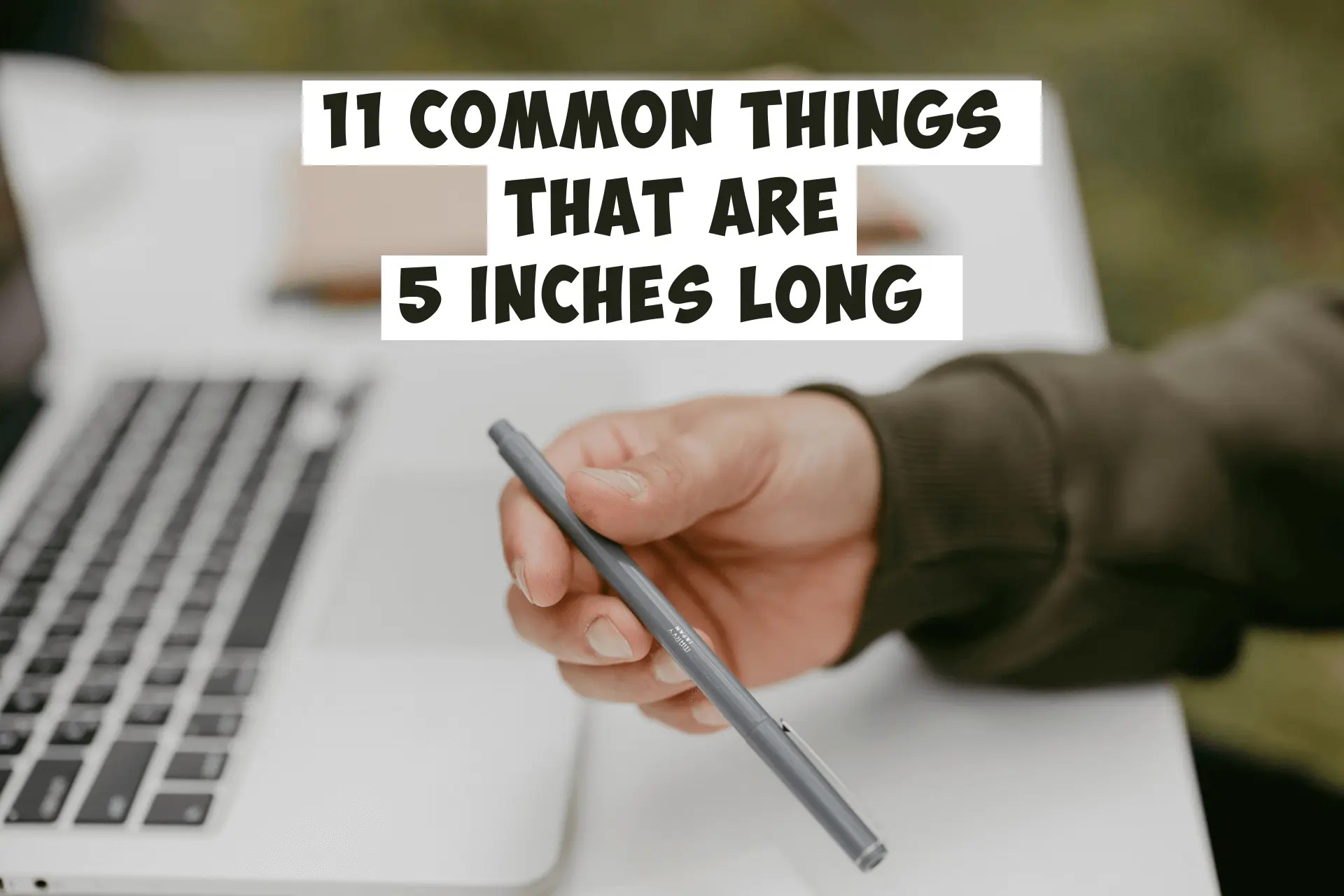 11 Common things that are 5 Inches long Measurementer