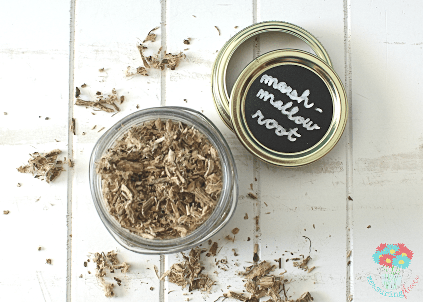 Hair Detangler DIY Allnatural