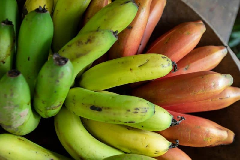 How Much Does a Banana Weigh? (Quick Guide) Measuringly