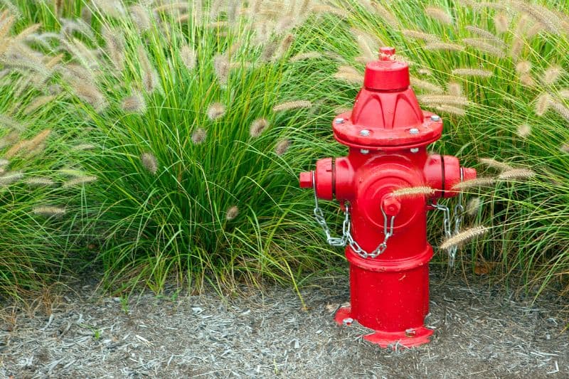 How Much Does a Fire Hydrant Weigh? (Answered) Measuringly