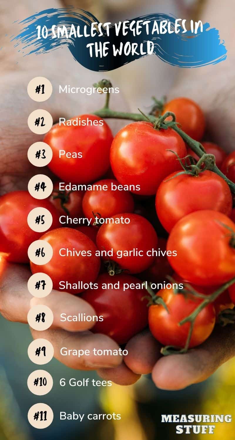 List Of The 10 Smallest Vegetables In The World Measuring Stuff