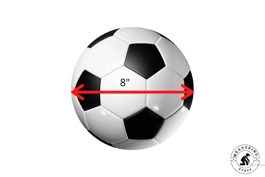 How Long Is 8 Inches Compared To An Object? Measuring Stuff