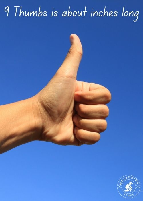 How Long Is 9 Inches? (With 10 Examples) - Measuring Stuff