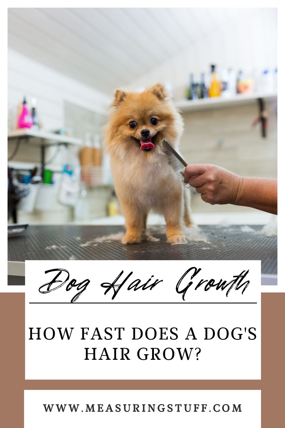 How Fast Does A Dog’s Hair Grow?(With Examples) Measuring Stuff
