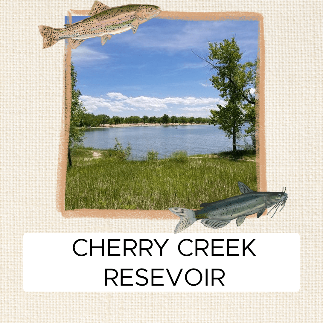 5 Fishing Spots to Check out in the Denver Area Meat Cleaver