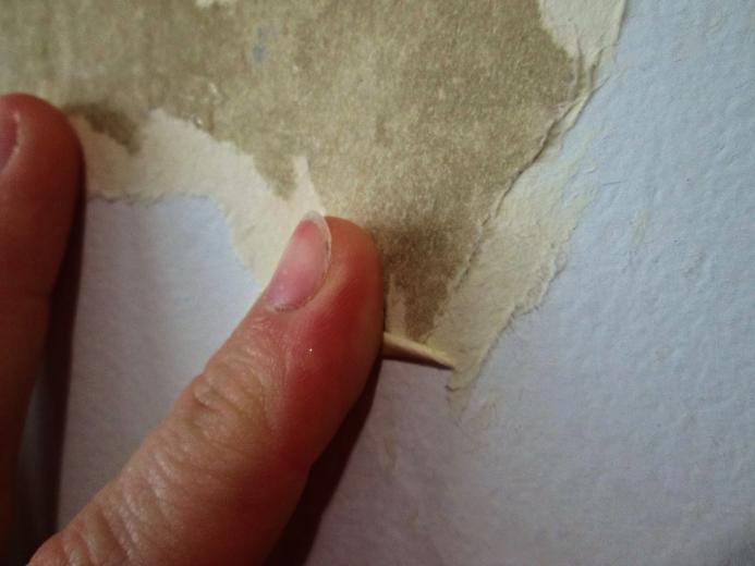 How To Remove Wallpaper Seal Stains ThemeBin