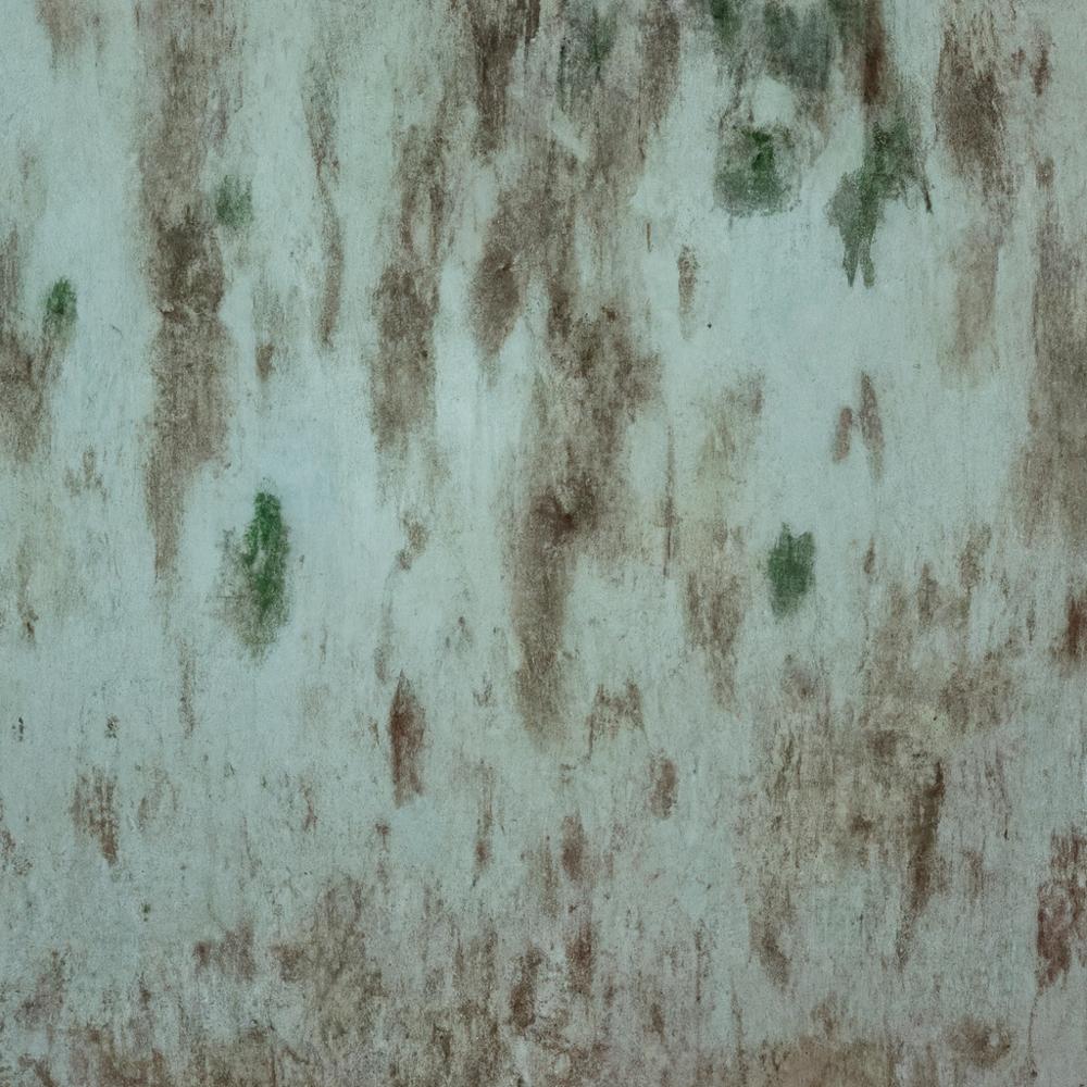 Jak skutecznie pozbyć się pleśni z tapety i zapobiec jej powrotowi