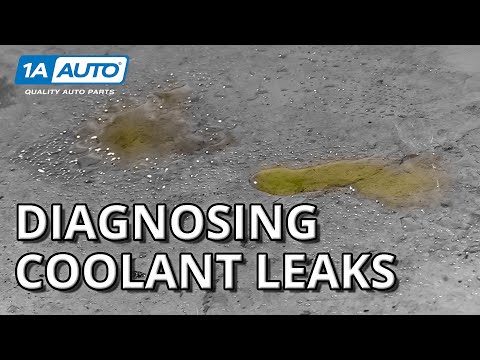 How to Identify Fluid Colors and Tackle Those Pesky Leaks With Ease