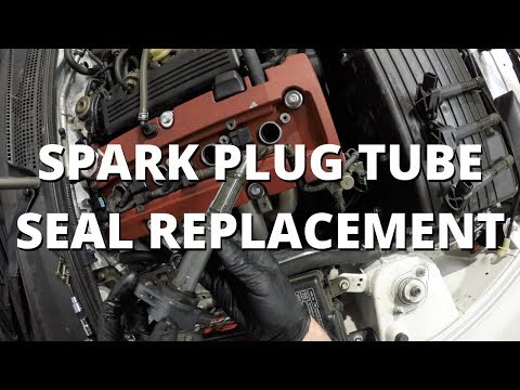 6 Reasons for Oil on Spark Plugs and How to Diagnose and Fix Them