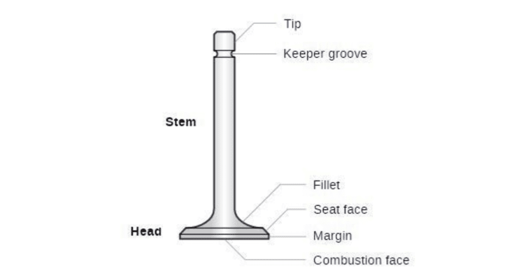 Exploring Engine Valves: Their Role in Powering Your Car – Mechanic Times
