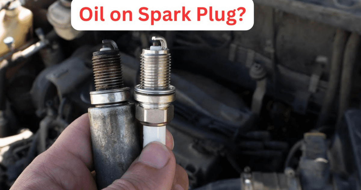 Why Do Spark Plug Threads Get Oily? Mechanic Times