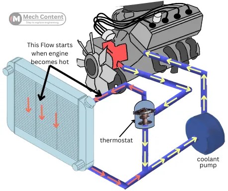 How Car thermostat works: Purpose, Parts, Types, Diagram