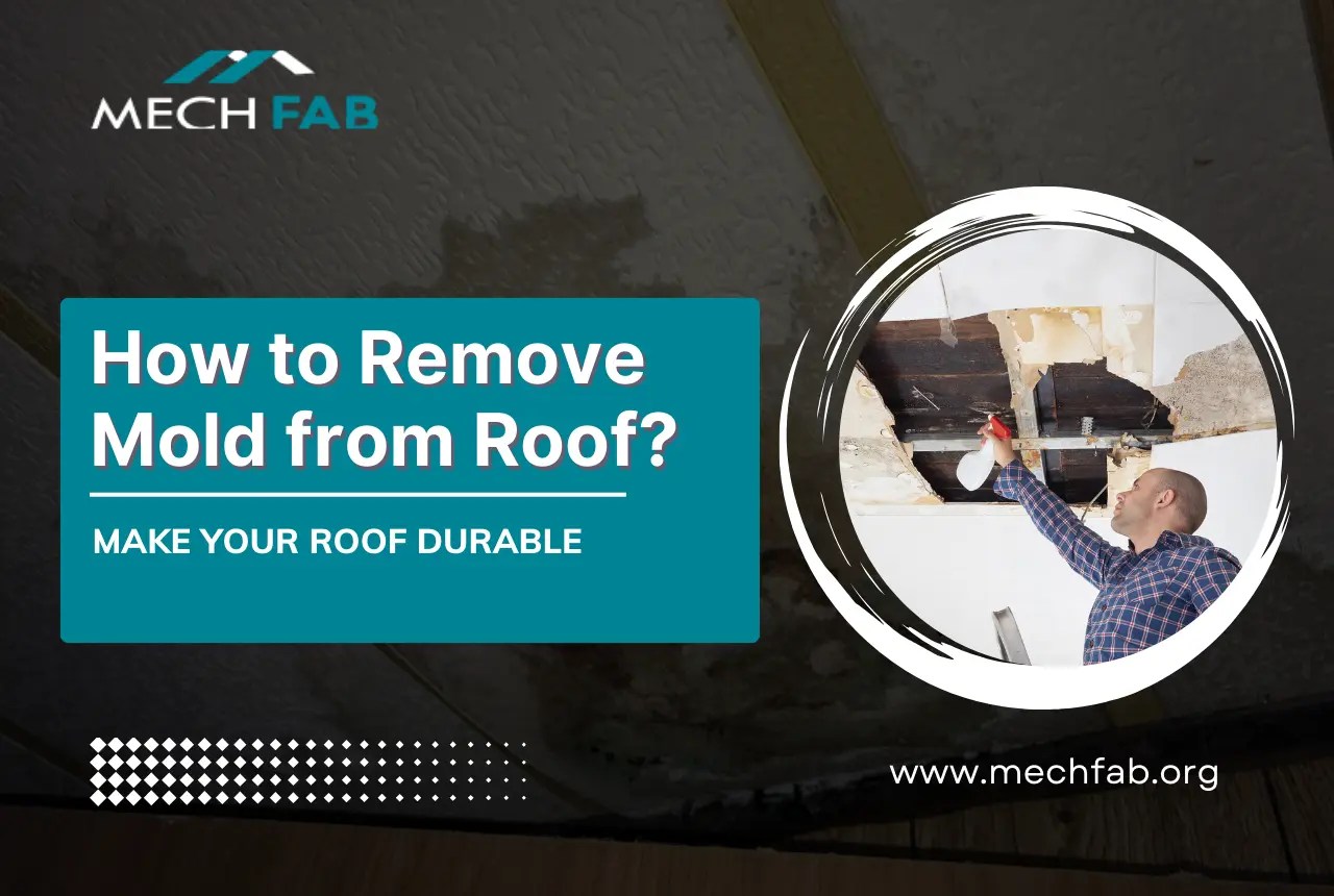 How to Remove Mold from Roof to Make it Durable? 7 Useful Strategies