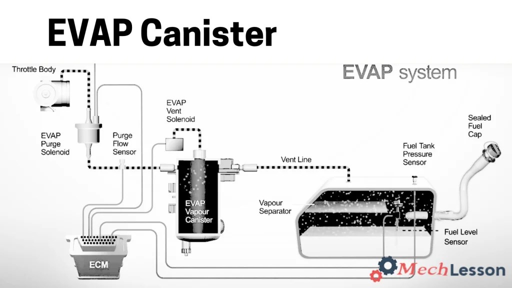 EVAP Canister: Function, Symptoms, and Replacement Guide - ML