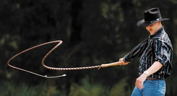 How & why does a whip make a cracking sound ? – MechStuff