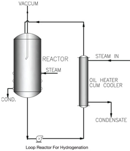 Hydrogenation of Fats and Oils, Hydrogenated Vegetable Oil